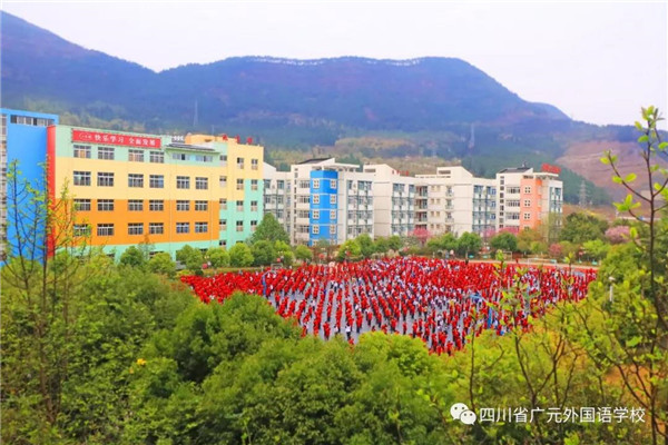微信图片_20190524092718_副本.jpg