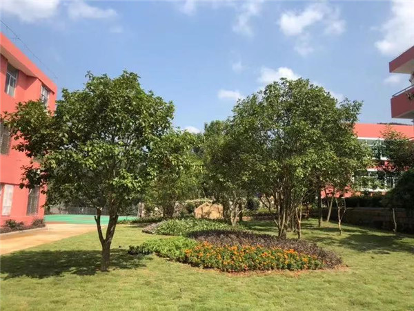 微信图片_20190823092709_副本.jpg