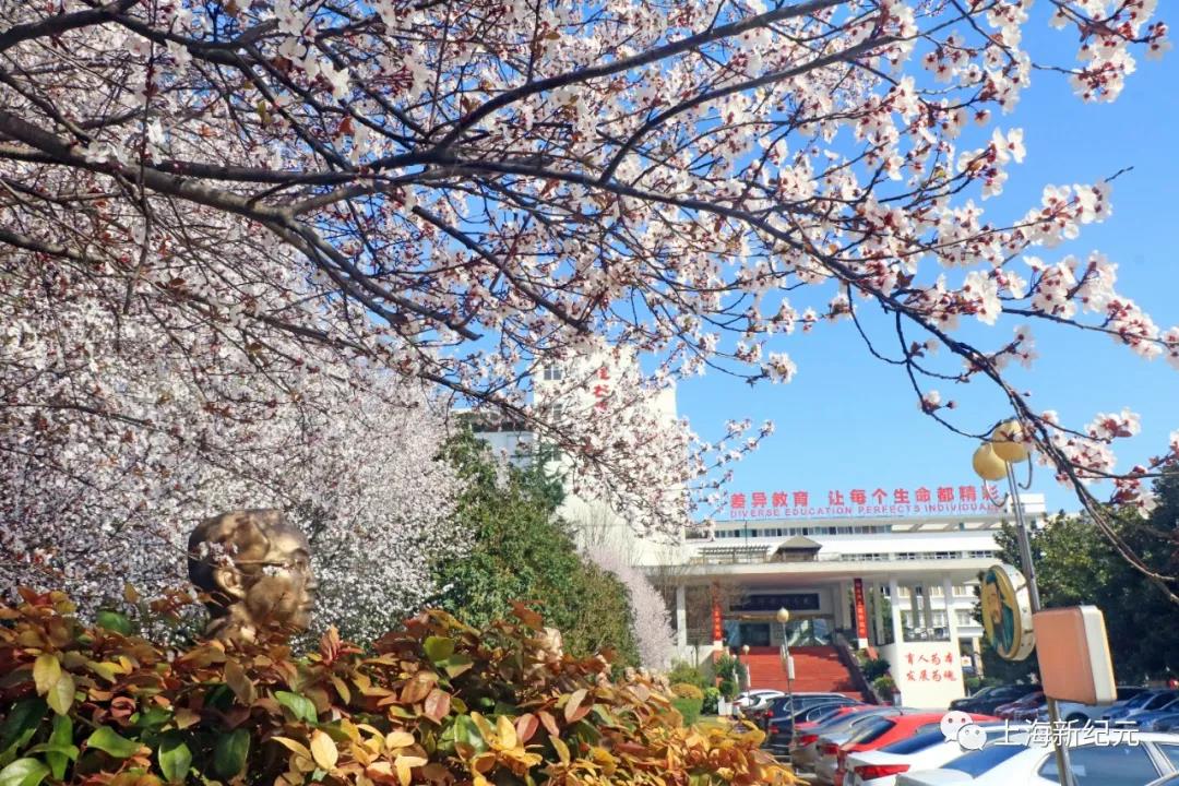 微信图片_20200522095330.jpg
